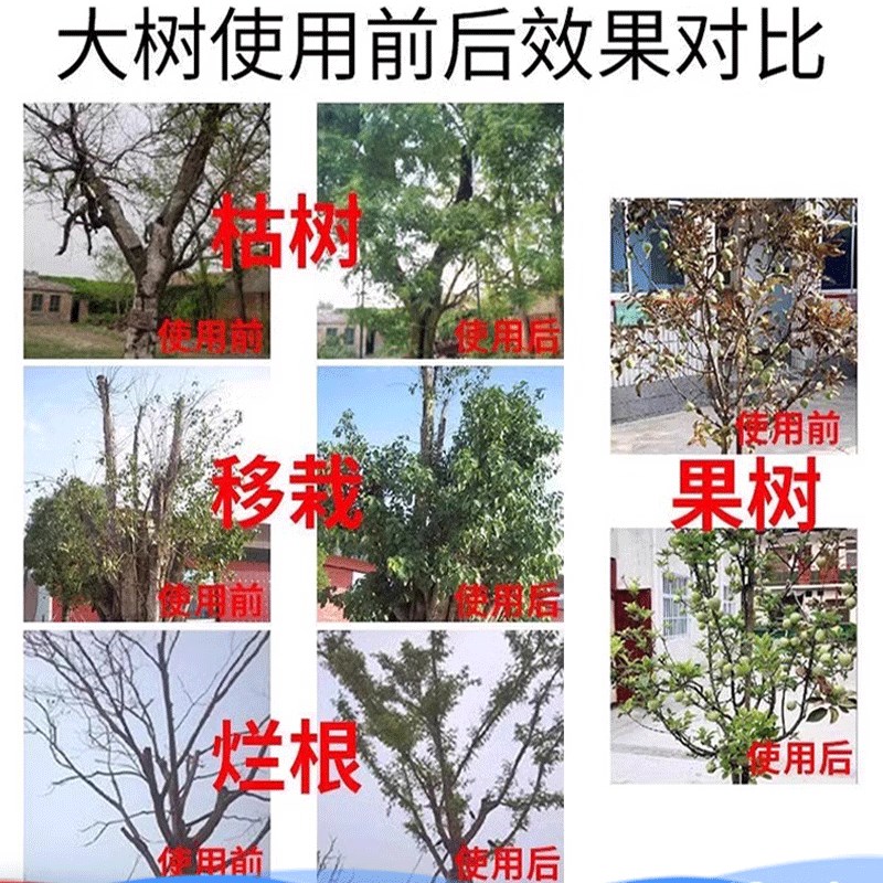 植物复活液大树强力生根药水壮苗粉剂树木移栽营养液花卉绿植通用