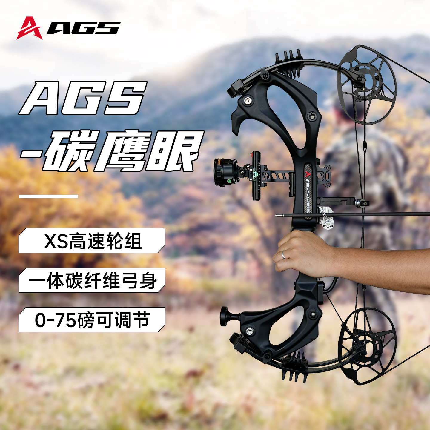 【户外竞技】AGS碳鹰眼复合弓