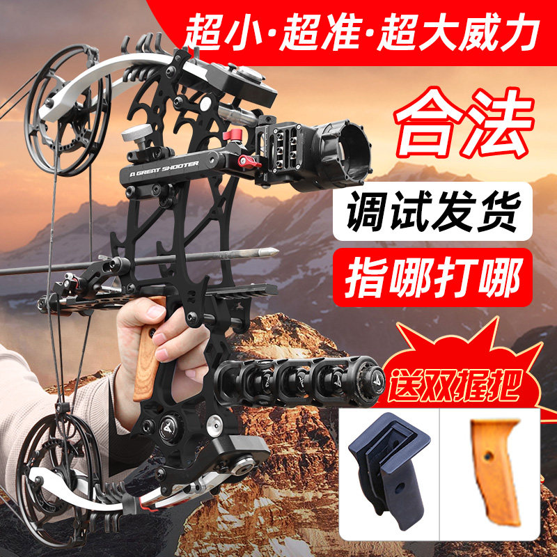 AGS獠牙301两用复合弓打钢珠成人专用2026新款户外竞技射击射箭弓