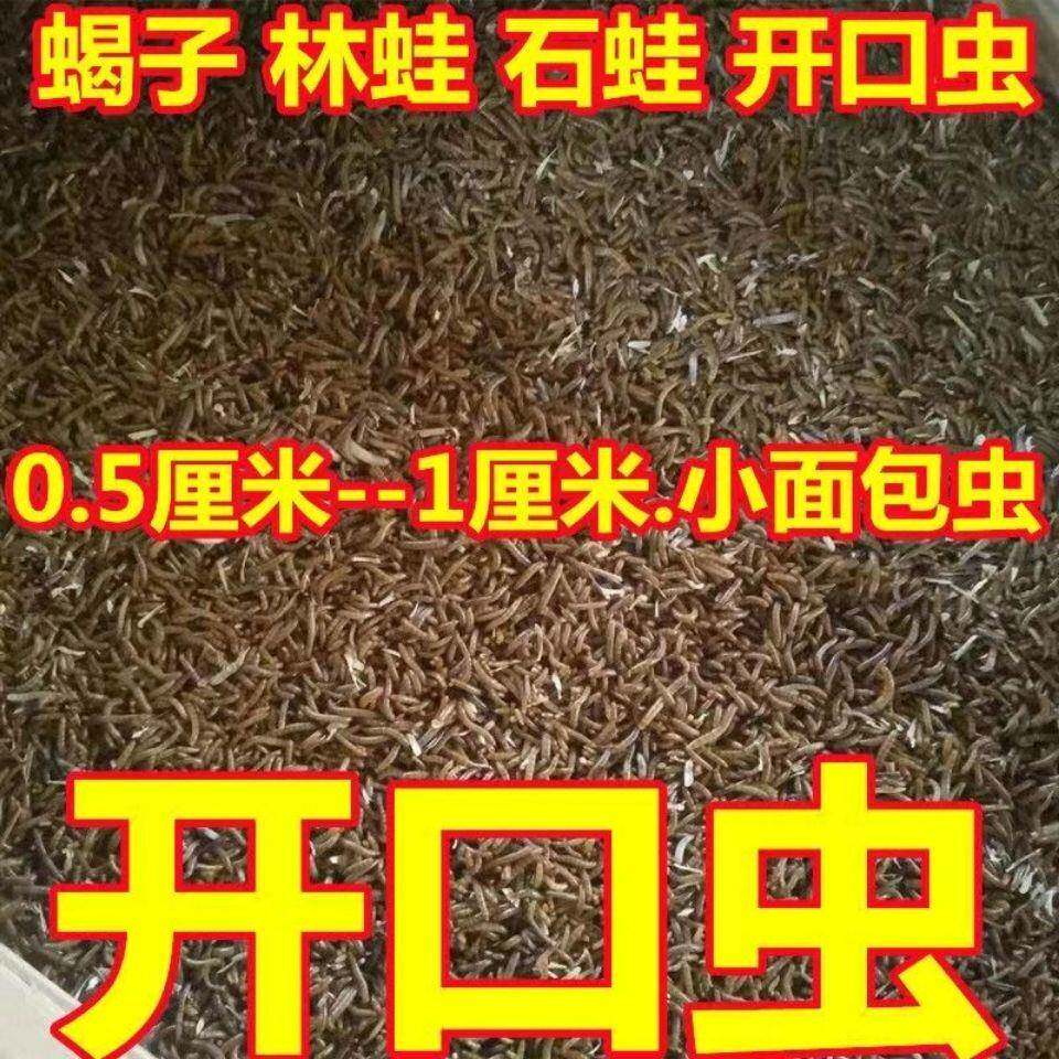 小面包虫小黄粉虫活体大麦虫鸟食鸟饵开口虫小幼虫0.5-1.5cm活饵