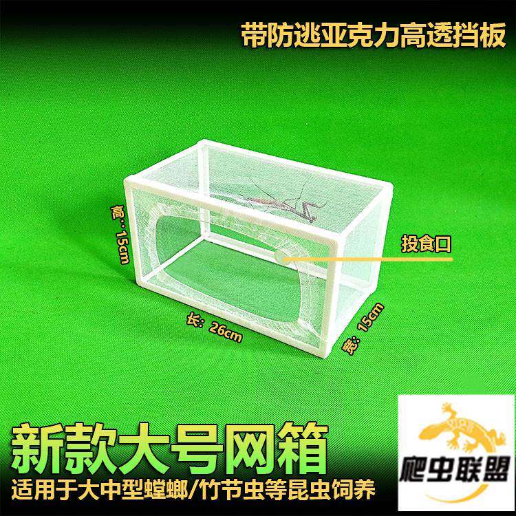 包邮螳螂饲养网箱 卵鞘孵化饲养箱 昆虫网笼 蝶羽化盒