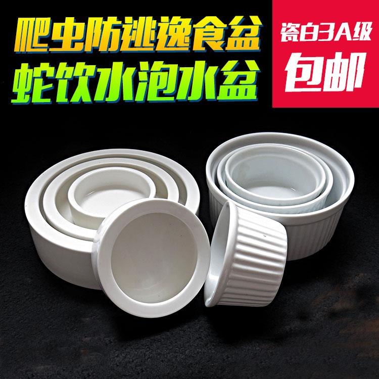 包邮爬虫防逃逸饮水泡水盆食盆大麦虫面包虫爬宠