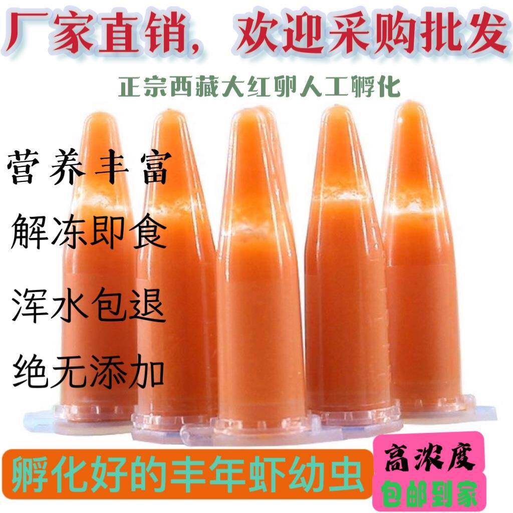 丰年虾卵冰冻幼虫鱼食饲料斑马鱼孔雀鱼开口虾卵虫洄水草履虫水蚤