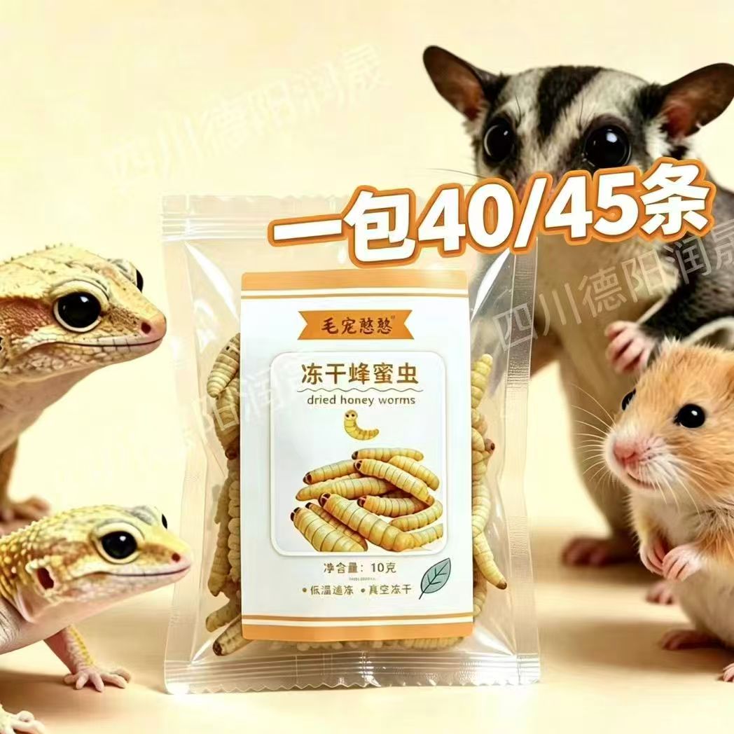 蜜袋鼯零食仓鼠金丝熊粮食冻干玉米虫蜂蜜虫干高蛋白松鼠增肥发腮