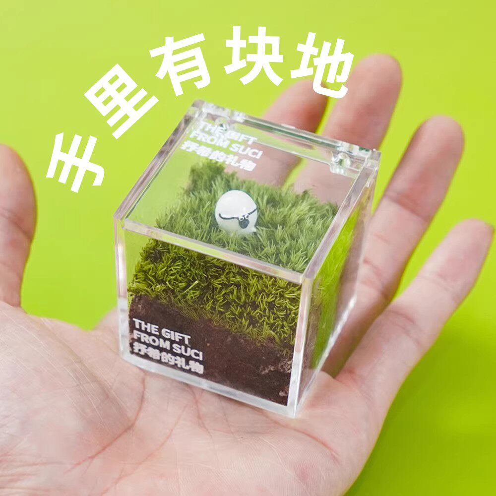 一片草坪苔藓微景观办公室桌面绿植草坪懒人好养节日创意小礼物