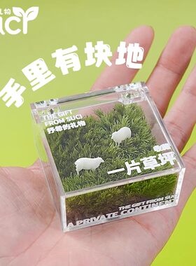 桌面摆件绿植微景观迷你绿植