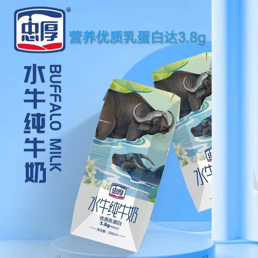 忠厚水牛纯牛奶200ml*12盒整箱营养优质乳蛋白儿童学生孕妇早餐奶
