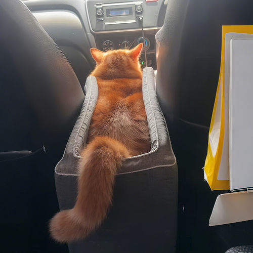 宠物安全座椅|猫咪出行宠物车载垫中控窝小型犬外出前后排坐车垫