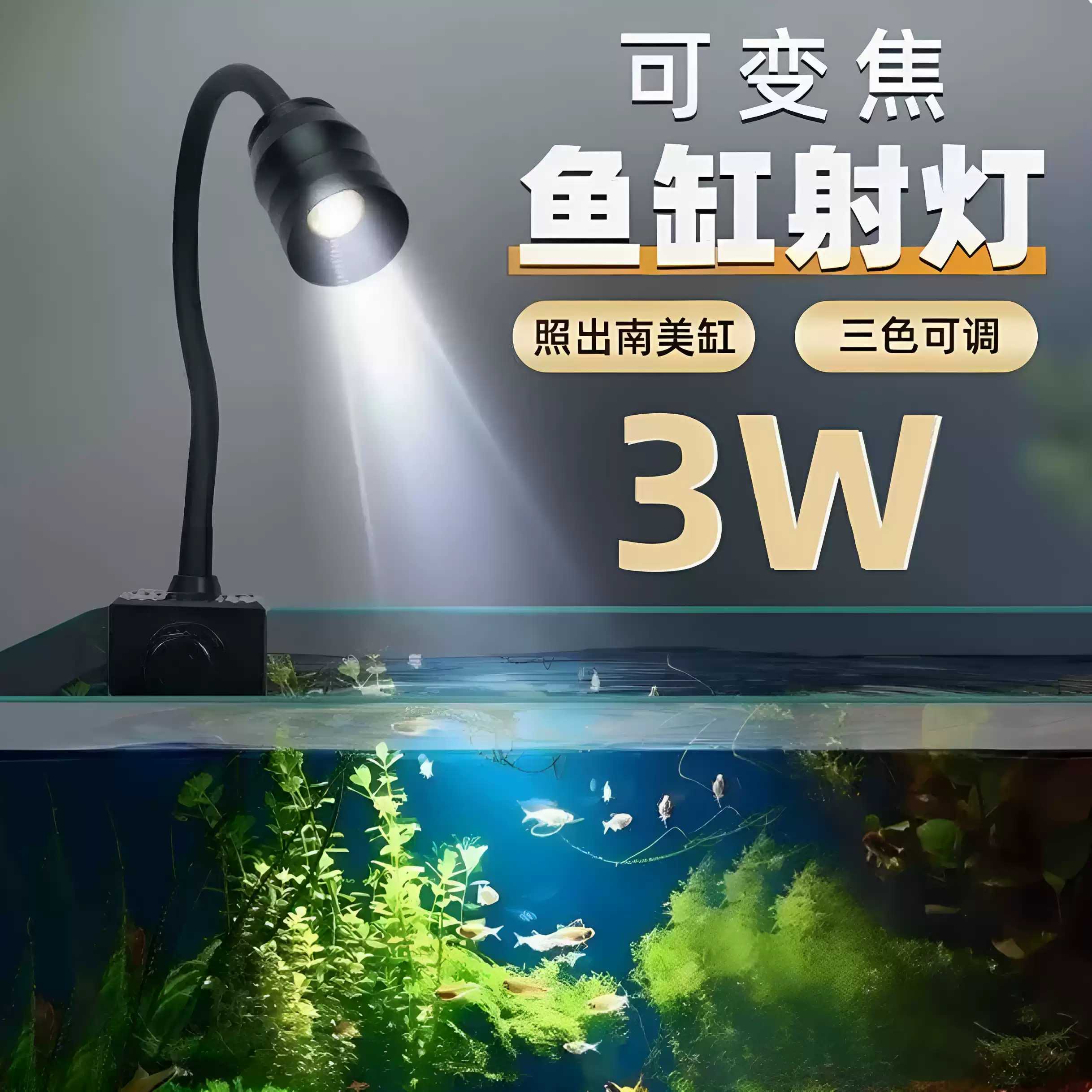 可变色三定时迷你鱼缸射灯南美