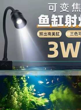 可变色三定时迷你鱼缸射灯南美