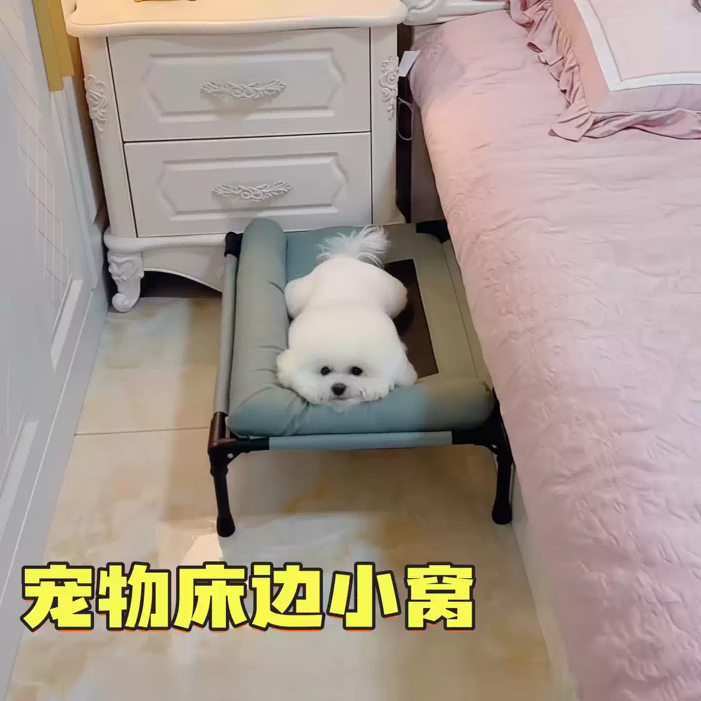 狗狗床边行军床四季通用可拆洗