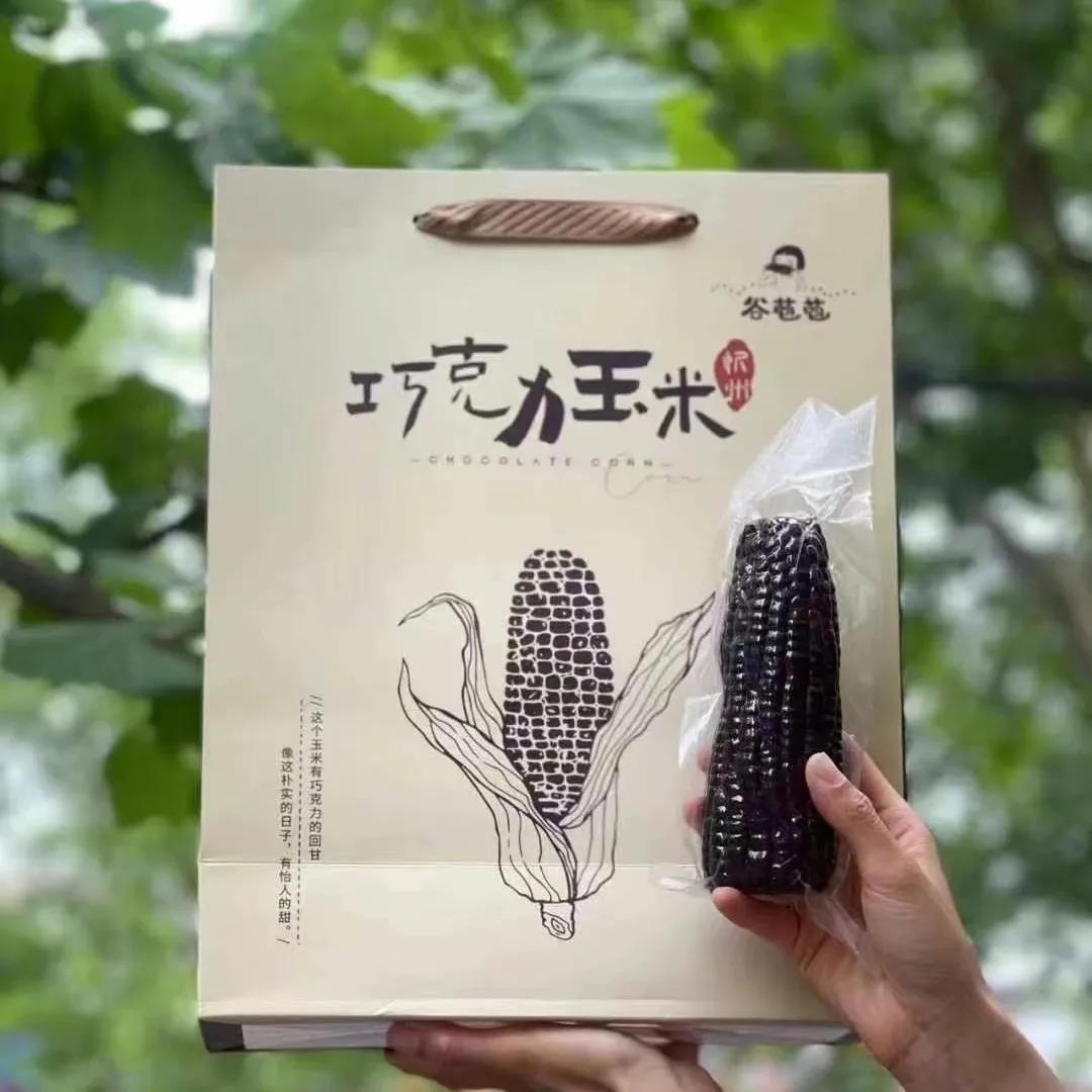 谷苞苞巧克力黑甜糯玉米家庭版真空包独立包装即食玉米棒早餐粗粮