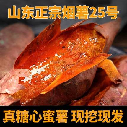 山东烟薯25号蜜薯糖心红薯新鲜沙地地瓜蕃薯番薯农科院官方旗舰店