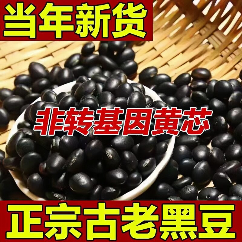 黑龙江有机黑豆农家自种黄心黑豆纯天然非转基因打豆浆专用有机粮