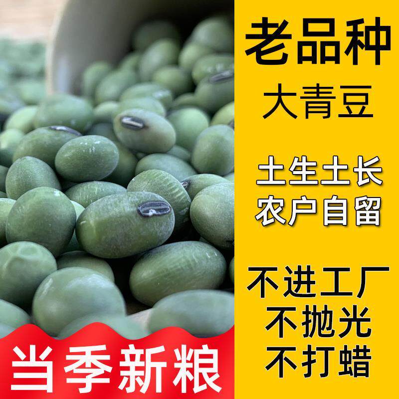 当季新货 农家自种 老品种大粒生青皮豆土青豆农户自留干青皮黄豆