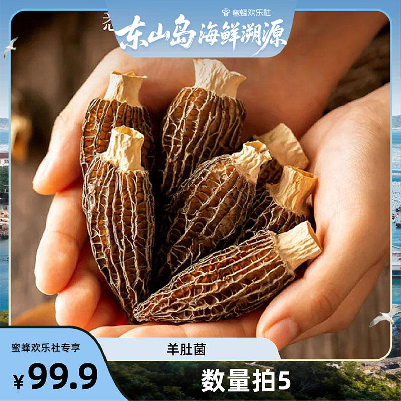 【福建溯源专场】高山头茬羊肚菌肉厚煲汤炖汤