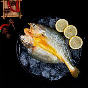宁德霞浦黄鱼鲞急冻保鲜冰鲜海鱼肉嫩鲜香