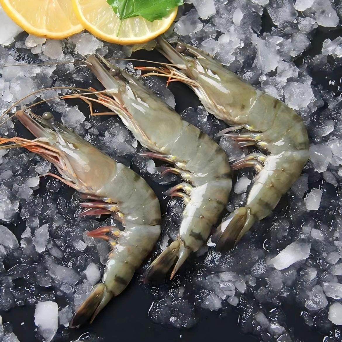 黑虎虾个大体肥肉嫩烧烤大虾鲜嫩液氮锁鲜,咖啡/麦片/冲饮,低温奶,淘宝优惠券,粉丝福利购,淘宝优惠卷