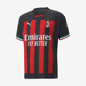 彪马正品 T恤765821 夏季 足球系列透气运动短袖 男士 Puma