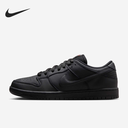 Nike/耐克正品Dunk SB男女系带简约透气日常板鞋FJ1674-001
