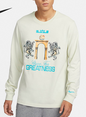 Nike/耐克正品LeBron 男士圆领印花休闲长袖T恤FQ4909-020