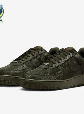Nike/耐克正品2025秋季款男士日常蛇皮纹低帮耐磨板鞋IB0018-301