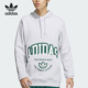 Adidas JE3481 印花连帽卫衣套头衫 阿迪达斯正品 三叶草男士