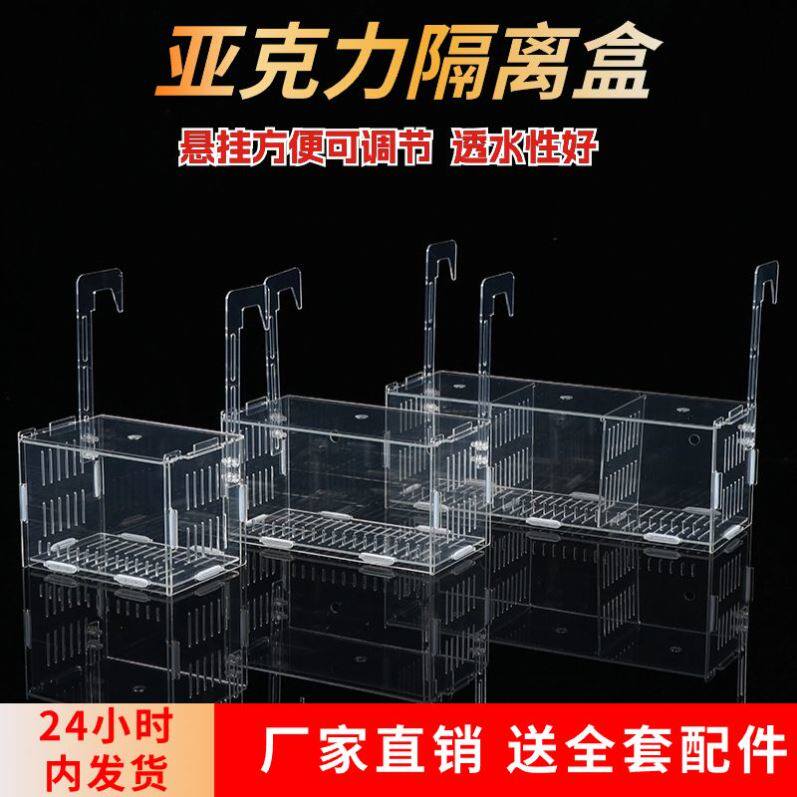 鱼缸水培植物固定架壁挂水培器皿定植篮亚克力花盆定植蓝加深水草