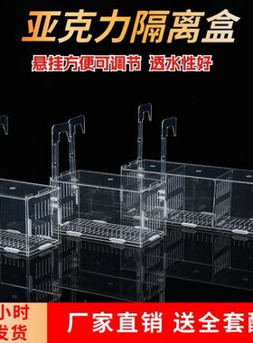 鱼缸水培植物固定架壁挂水培器皿定植篮亚克力花盆定植蓝加深水草