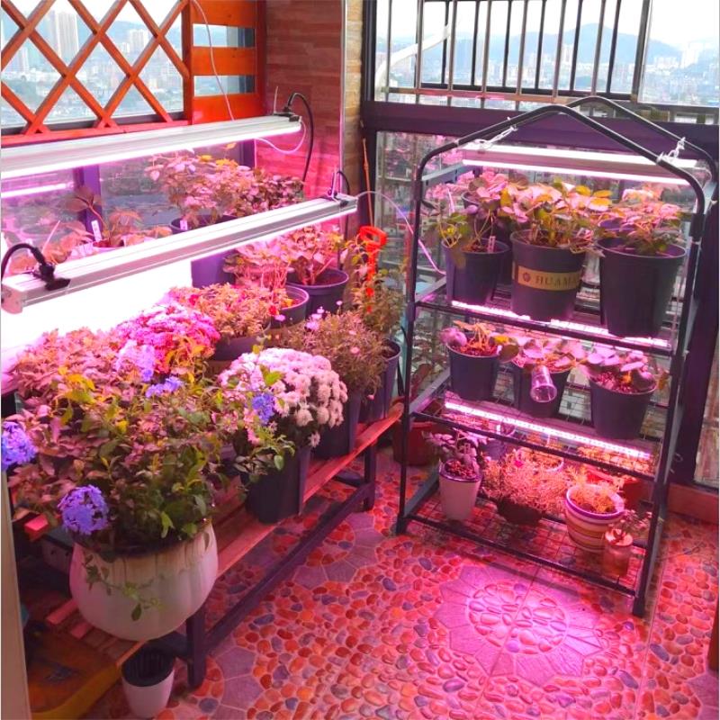 多肉补光灯全光谱仿太阳led植物生长灯家用多肉上色防徒专用灯管