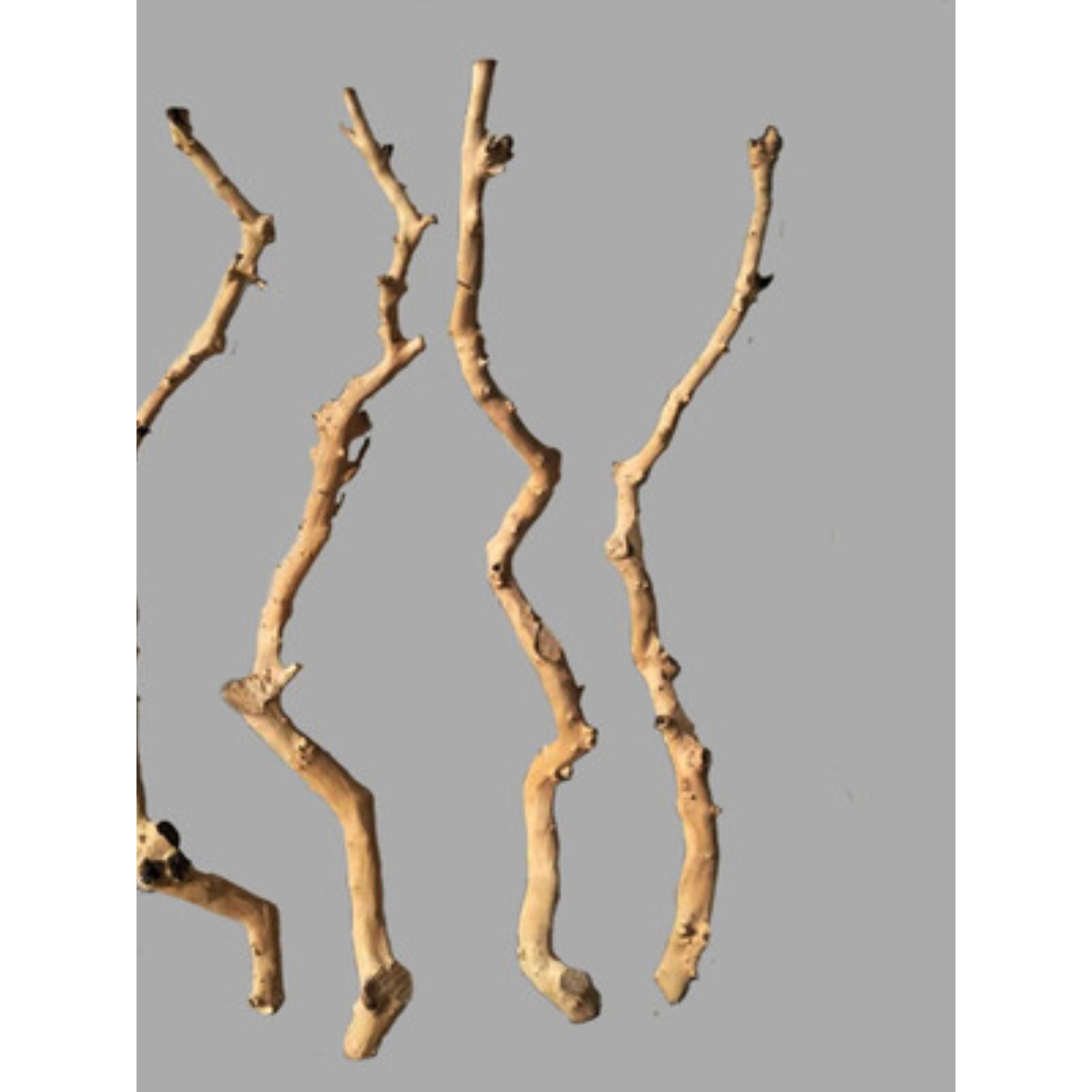 干树枝原木杈艺术干枝枯枝枯木树干树木造型壁挂衣架吊顶树枝装饰