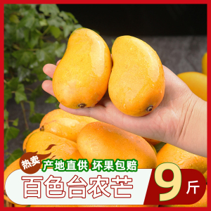 现摘小台芒新鲜9斤小芒果鲜果整箱应季特产水果小台农芒果大果甜5