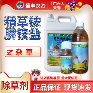 新安化工 安小七10.9%精草铵膦铵盐非耕地杂草除草农药除草剂