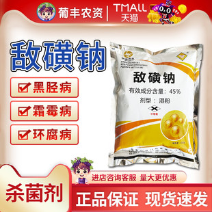 敌克松 敌磺钠 苗期病害白菜黄瓜霜霉黑胫病病农药敌黄钠杀菌剂