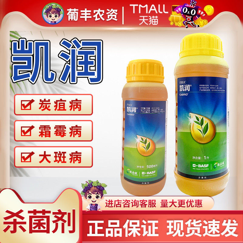 巴斯夫凯润 吡唑醚菌酯茵酯茶树芒果白菜月季炭疽病农药杀菌剂1kg