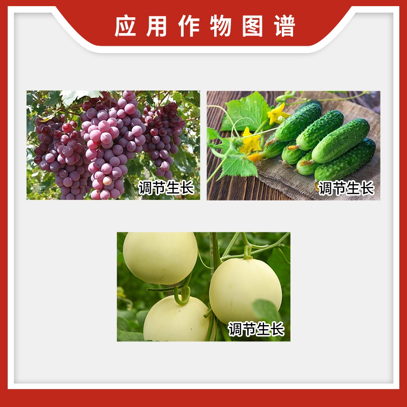 农业创新的风向标：京博农化引领行业发展