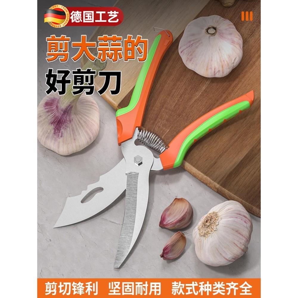 德国大蒜专用剪刀电动绞蒜头剪蒜修蒜根须杆切洋葱切葱根园艺