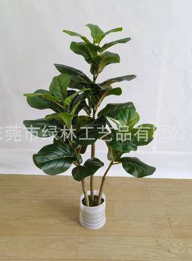 仿真室白边琴榕内仿真绿植室外摆VZU件叶家居装饰办公摆件