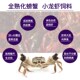通威螃蟹专用小龙虾全熟化养殖饲料内含脱壳素下沉型膨化颗粒饲料