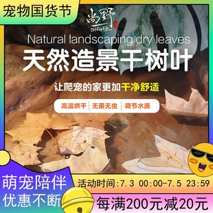 天然造景干树叶爬宠蛇类蜥蜴类龟类造景垫材爬宠箱爬箱水质调节风