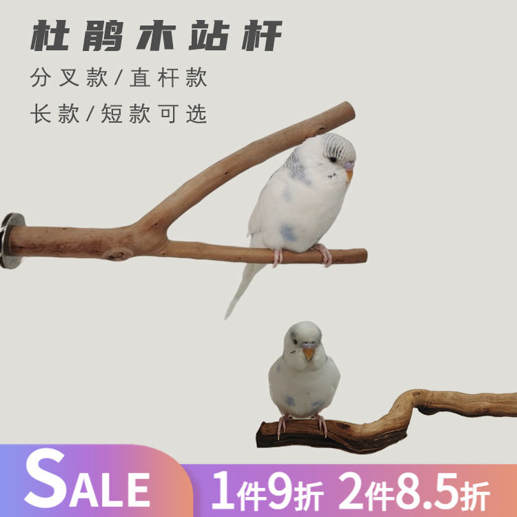 玄凤鹦鹉花椒杜鹃木鸟站杆磨爪棍鹦鹉站台栖息台原木跳板啃咬玩具,宠物/宠物食品及用品,鸟玩具,淘宝优惠券,粉丝福利购,淘宝优惠卷