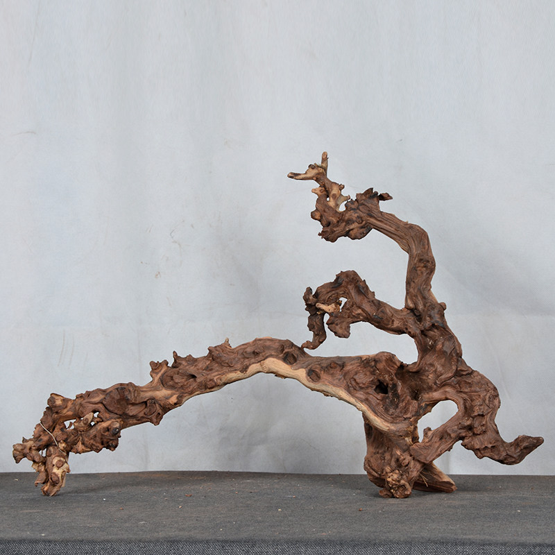 水族造景雨林缸珊瑚木水沉木天然枯木鱼缸装饰乌龟晒台紫柚木杜鹃