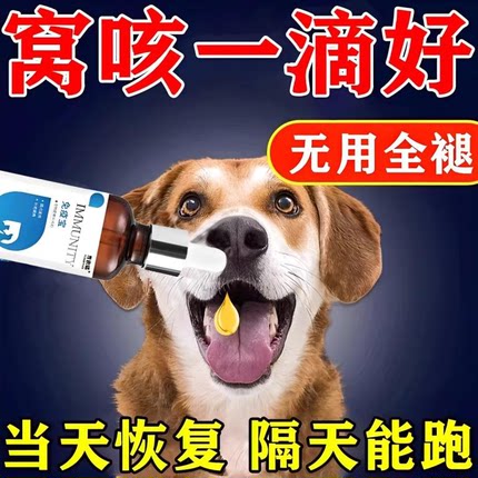 犬窝咳特效药狗狗感冒药咳嗽流鼻涕专用药小狗止咳干呕发烧犬瘟净