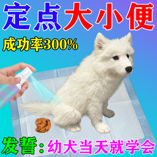 狗狗定点排便神器训练宠物小狗上厕所诱导剂防止狗狗乱拉屎大小便
