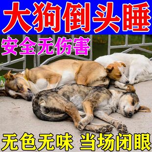 狗狗麻醉镇定剂快速睡眠强力情绪安抚剂手术麻醉防狗咬人安睡药片