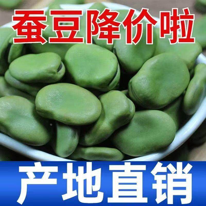 新生蚕豆干豆子农家绿皮罗汉豆胡豆青皮干货可发芽袋装非四川5斤