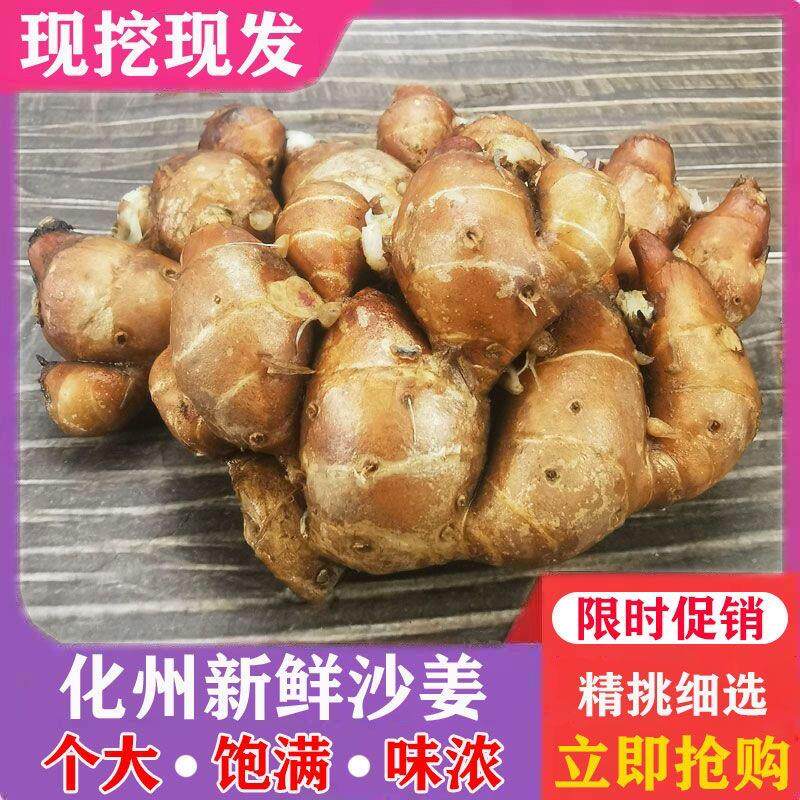 正宗化州南盛沙姜山奈白切鸡香油鸡捞粉香油配料蘸料新鲜现挖现发
