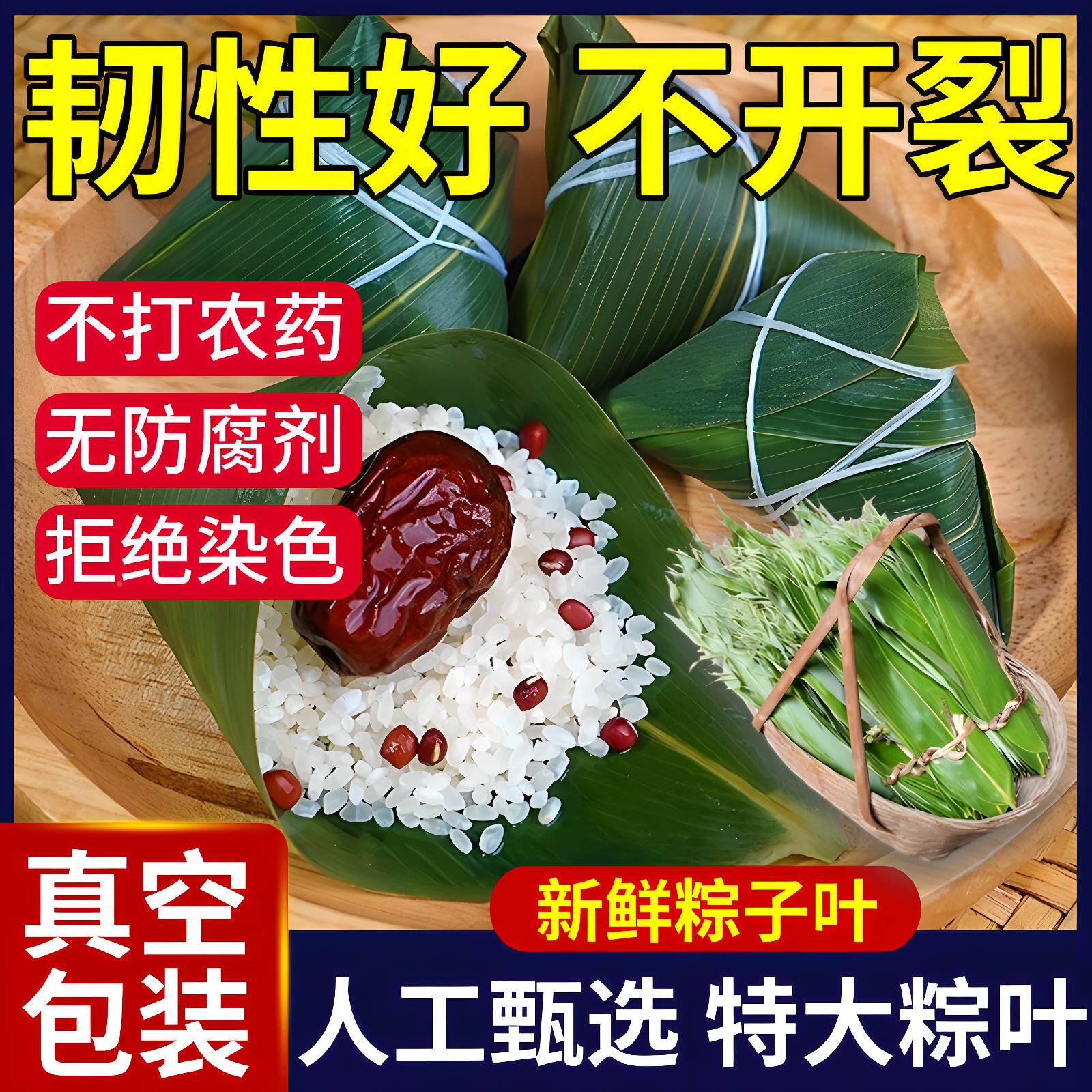 嘉兴粽叶新鲜粽子叶大号粽箬叶新鲜干粽叶新叶家用包粽子的粽叶