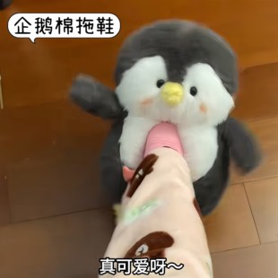 企鹅棉拖鞋女秋冬季室内居家厚底包跟毛绒儿童可爱月子保暖男冬天