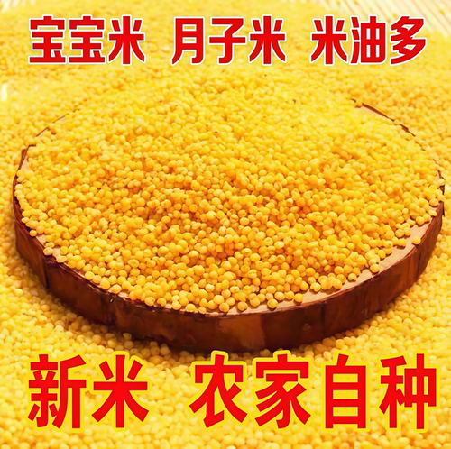 色泽金黄颗粒圆润米粒饱满晶莹透亮金珠质感